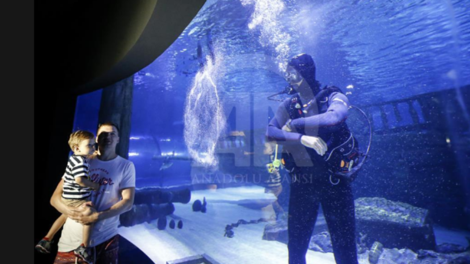 Divers in Antalya Aquarium