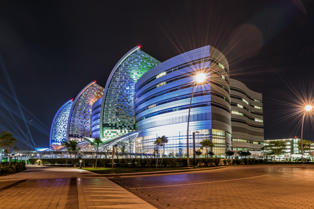 Diabetes, COVID-19, and Women’s Health  Among Topics In Upcoming Doha Healthcare Week2020