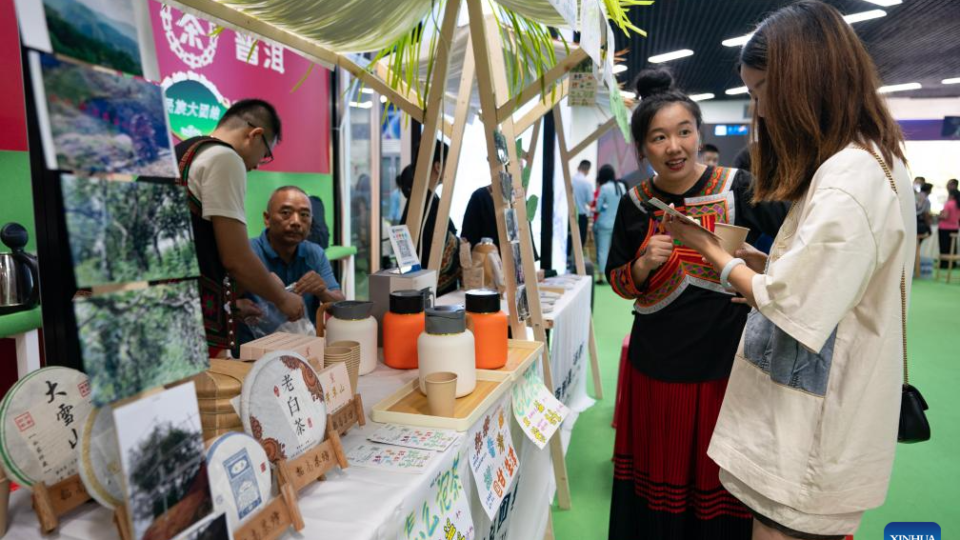 1st South Asia Tea Festival Kicks off During 7th China-South Asia Expo