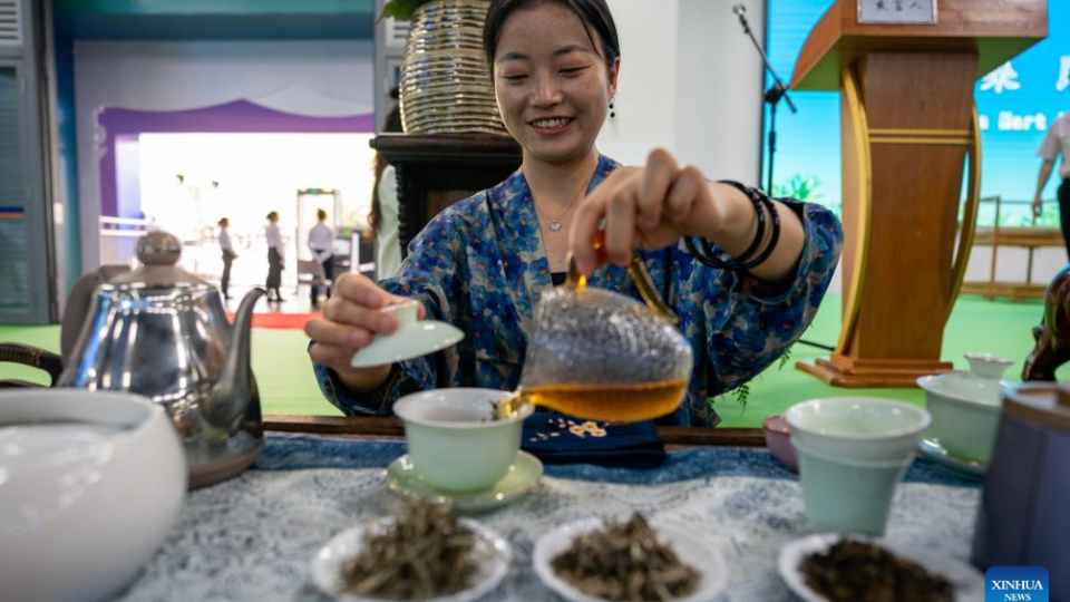 1st South Asia Tea Festival Kicks off During 7th China-South Asia Expo